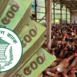 তরুণ উদ্যোক্তারা পাবেন ২০ লাখ টাকা ঋণ